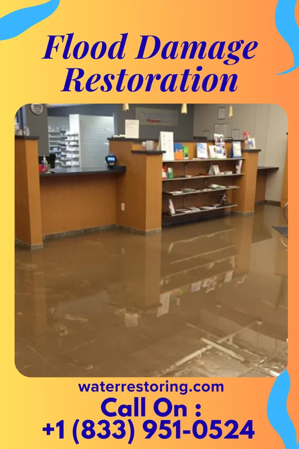 Flood Damage Restoration in Beaver Meadows, PA