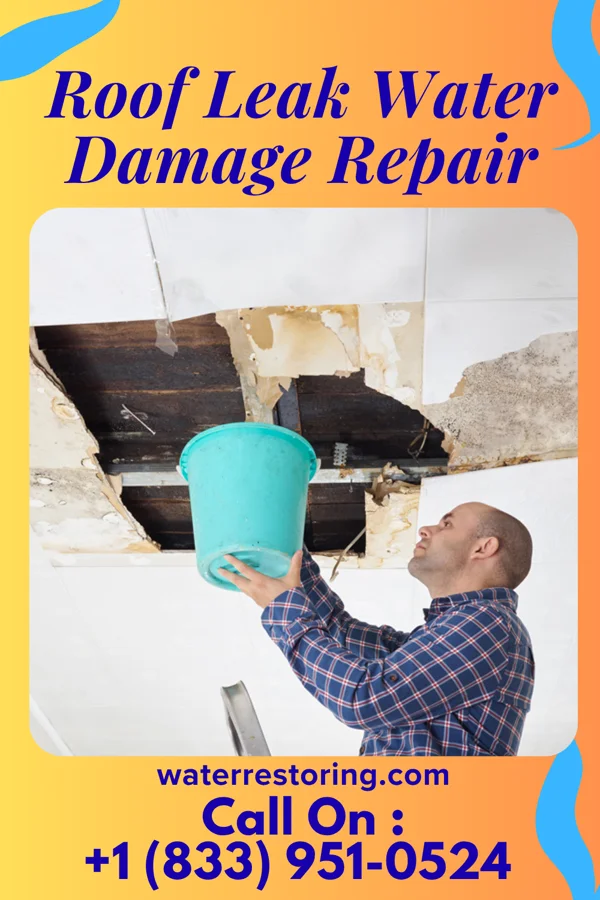 Roof Leak Water Damage Repair in Beaver Meadows, PA