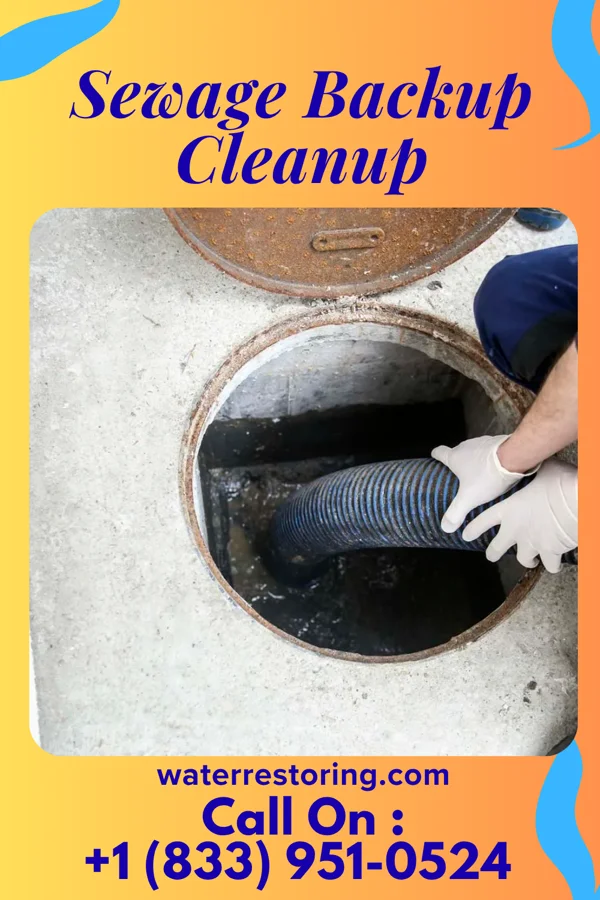 Sewage Backup Cleanup in Beaver Meadows, PA