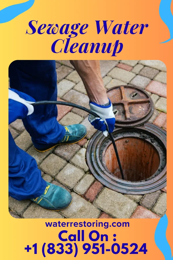 Sewage Water Cleanup in Beaver Meadows, PA